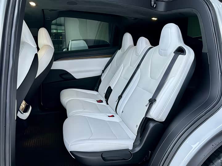 Фото 9 - Tesla Model X