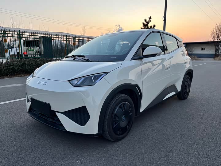 Photo 1 - BYD Seagull