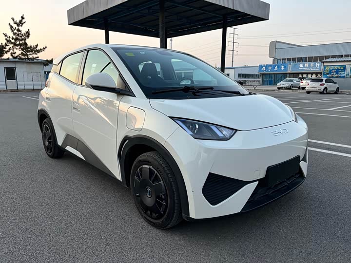 Photo 3 - BYD Seagull