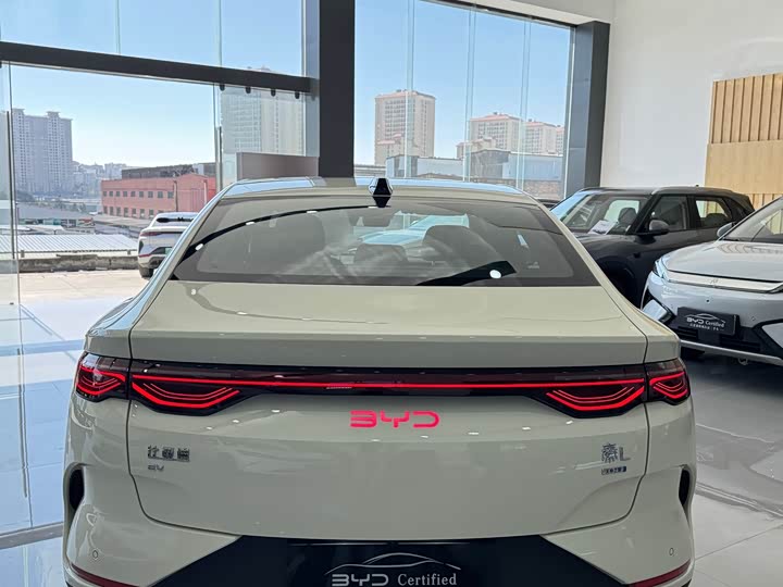 Фото 5 - BYD Qin L