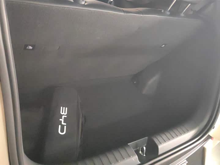 Фото 4 - BYD Seagull