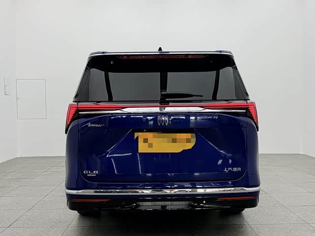 Фото 5 - Buick GL8 Hybrid