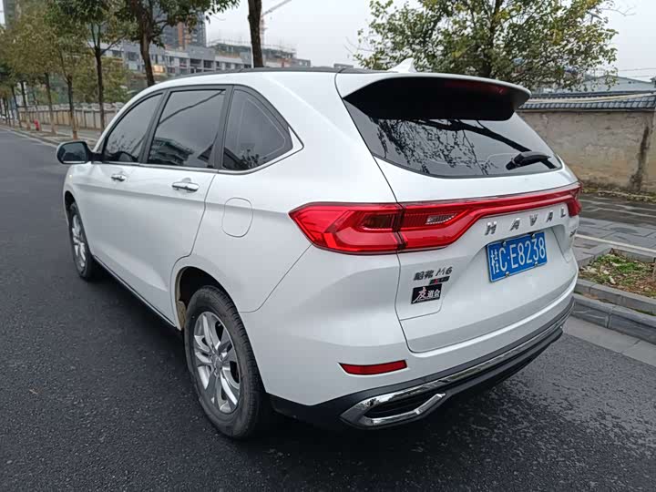 Photo 6 - Haval M6