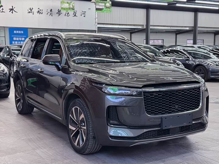 Фото 3 - LiXiang One