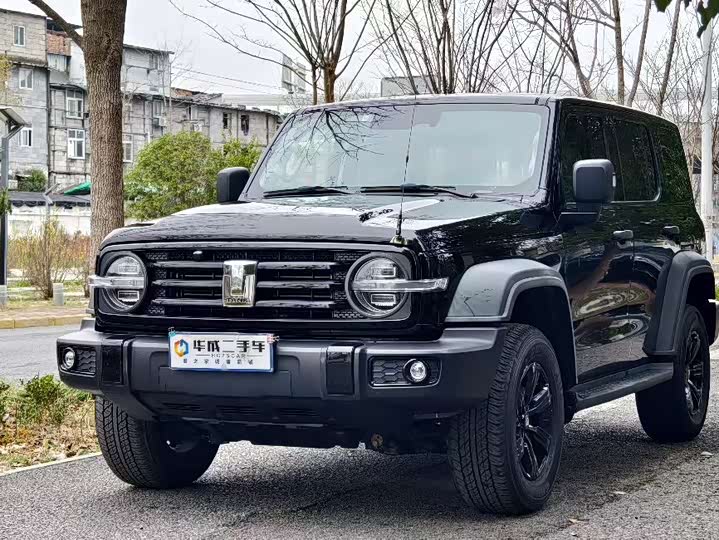 Фото 2 - Tank 300