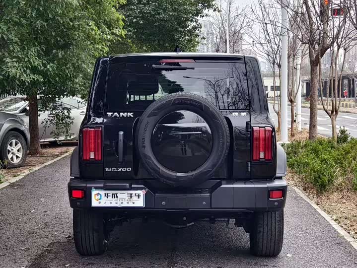 Фото 3 - Tank 300