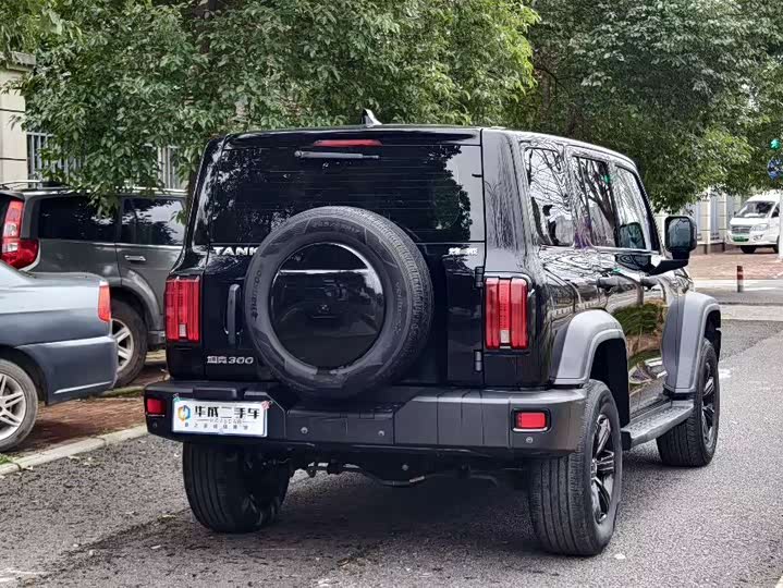 Фото 4 - Tank 300