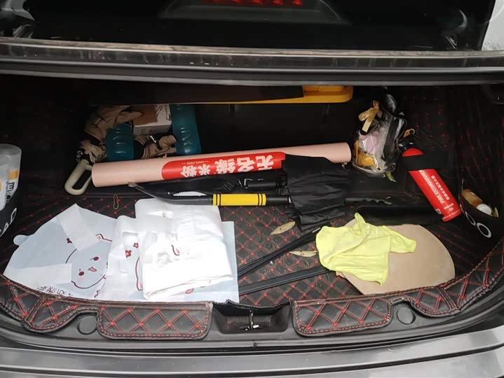 Photo 4 - Changan Eado Plus