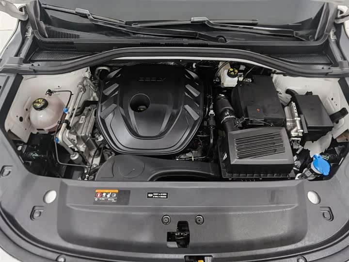 Фото 6 - Geely Okavango L