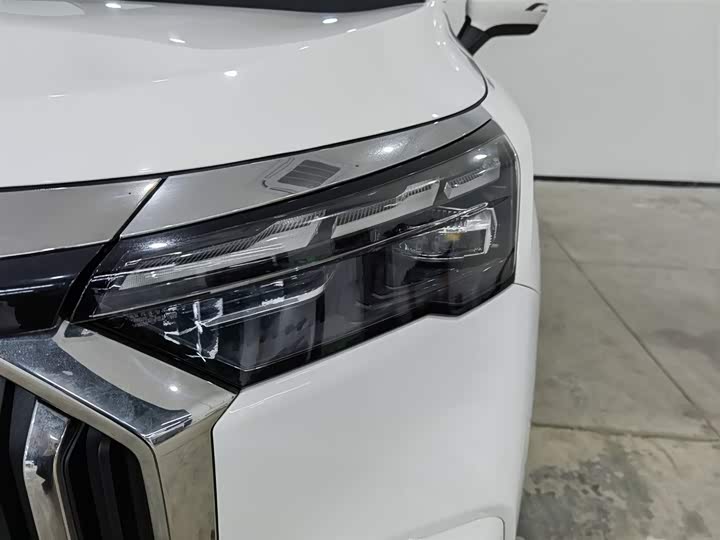 Фото 7 - Geely Okavango L