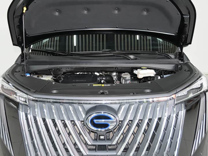 Фото 6 - GAC Trumpchi M8