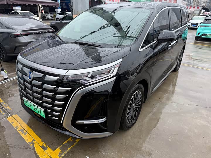 Фото 1 - Denza D9