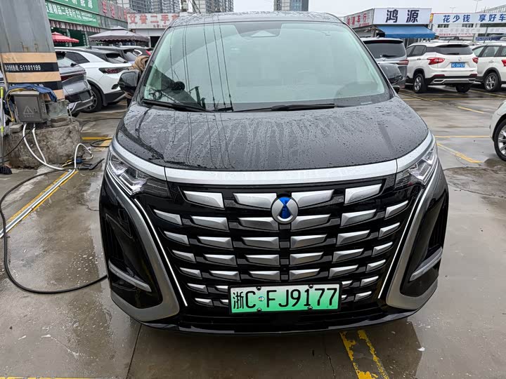 Фото 2 - Denza D9