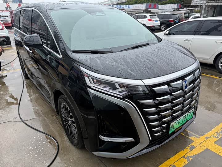 Фото 3 - Denza D9