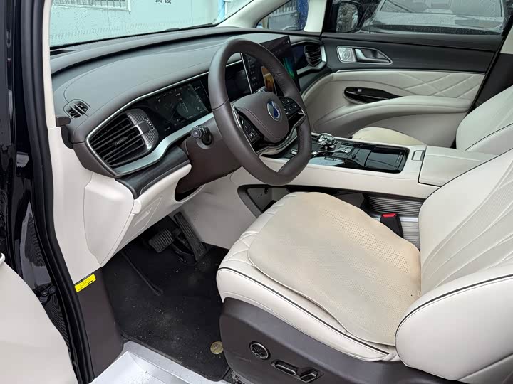 Фото 4 - Denza D9