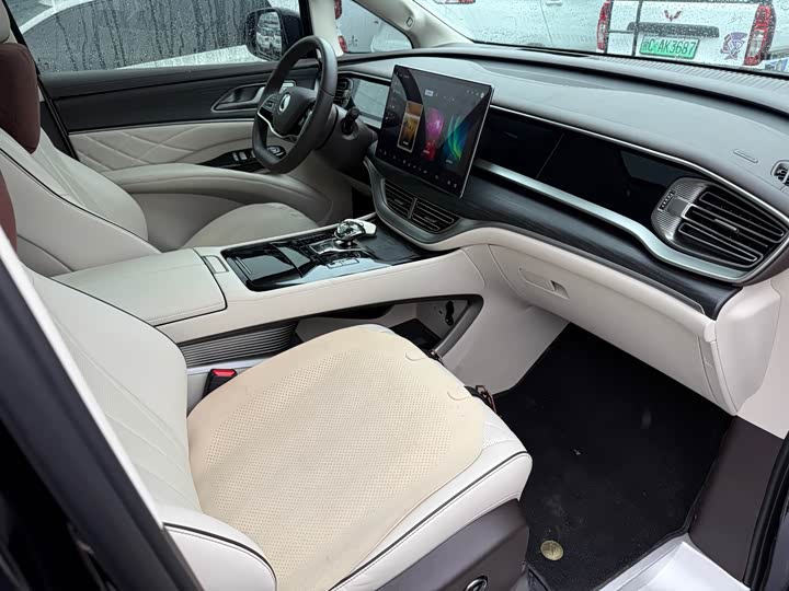 Фото 6 - Denza D9