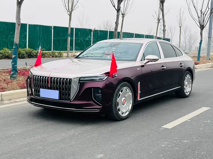 Фото 1 - Hongqi H9