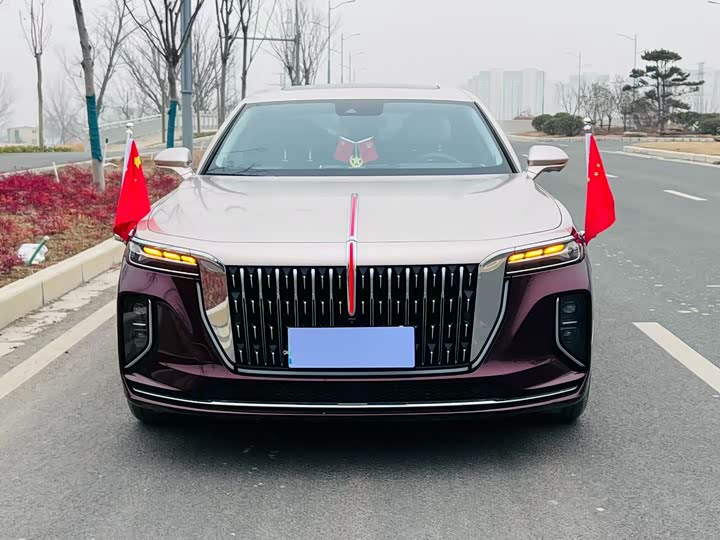 Фото 2 - Hongqi H9
