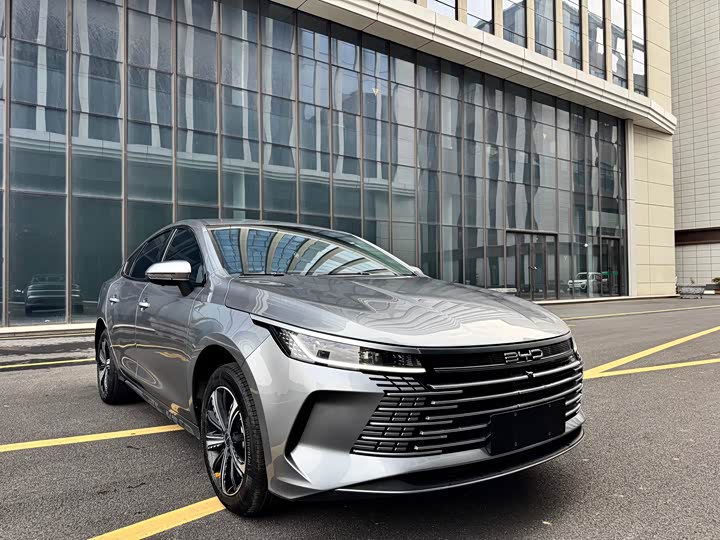 Фото 3 - BYD Destroyer 05