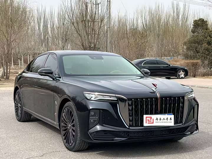 Фото 3 - Hongqi H9