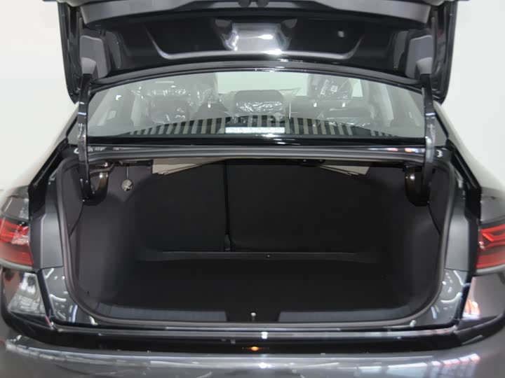 Фото 7 - Volkswagen Sagitar L