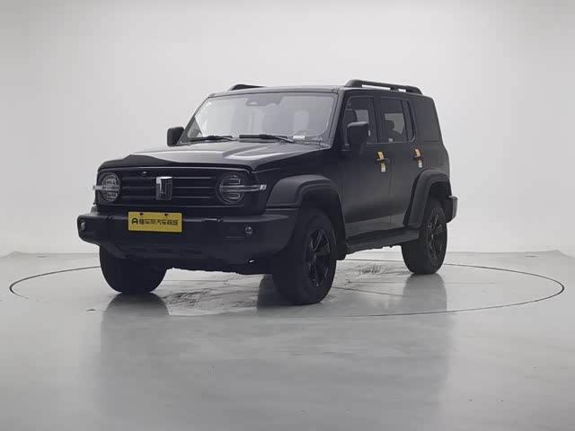 Фото 1 - Tank 300