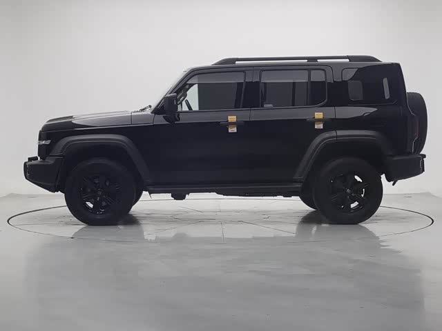 Фото 4 - Tank 300