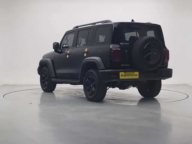 Фото 5 - Tank 300