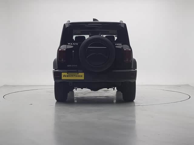 Фото 6 - Tank 300