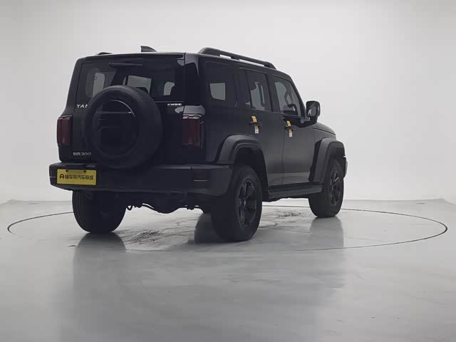 Фото 7 - Tank 300