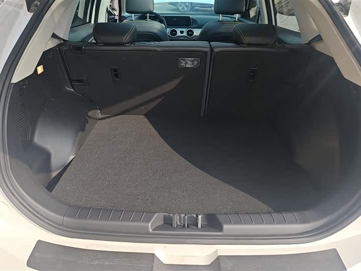 Фото 4 - Dongfeng Forthing T5 EVO