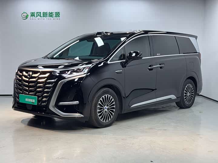 Фото 2 - Denza D9