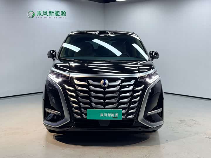 Фото 3 - Denza D9