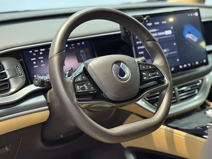 Фото 6 - Denza D9