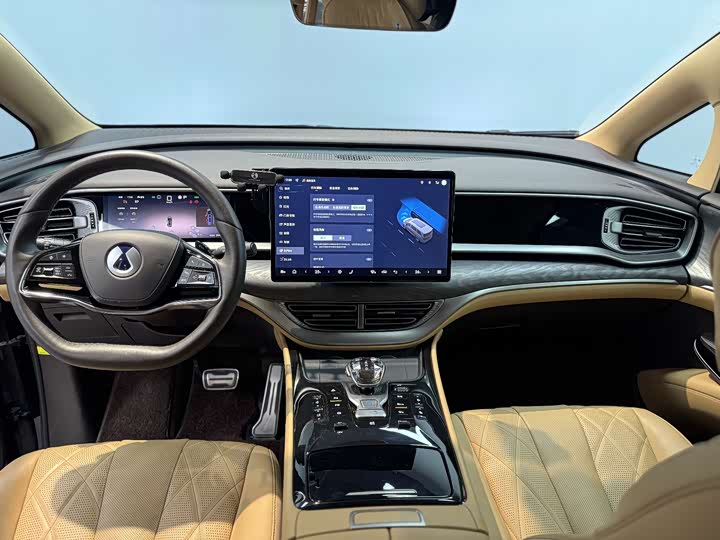 Фото 8 - Denza D9