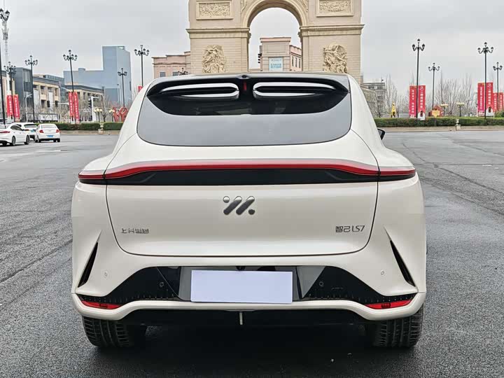 Фото 7 - IM motors LS7