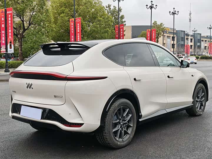 Фото 8 - IM motors LS7