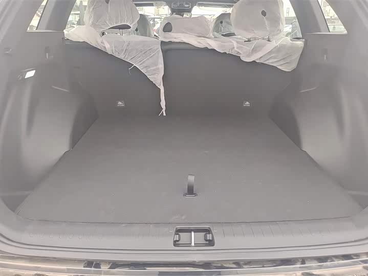 Фото 4 - Geely Monjaro