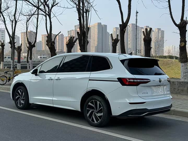 Фото 3 - Volkswagen Viloran