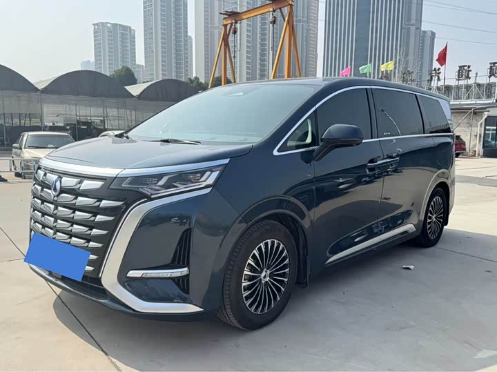 Фото 1 - Denza D9