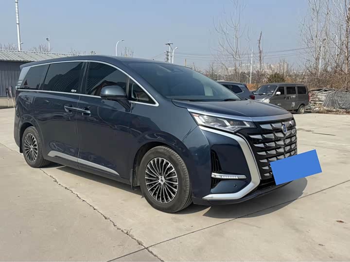 Фото 2 - Denza D9