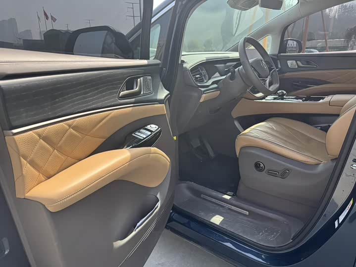 Фото 4 - Denza D9