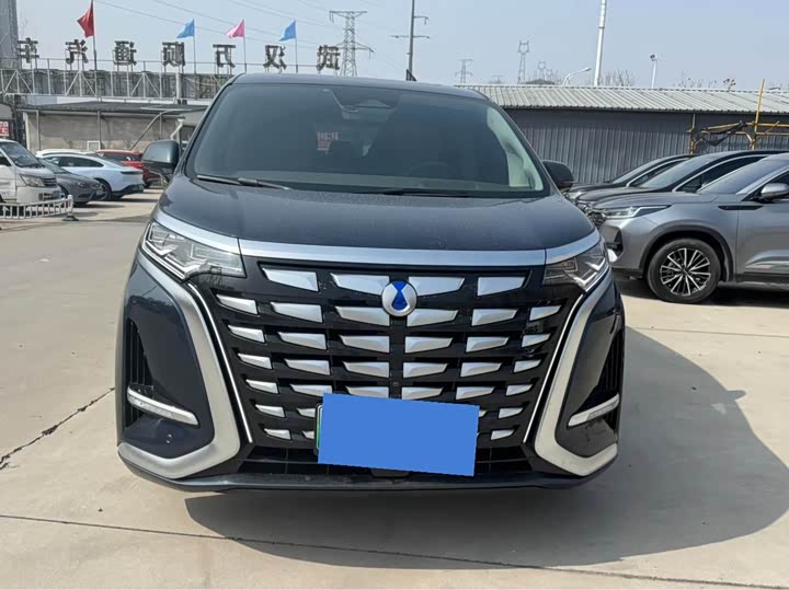 Фото 6 - Denza D9