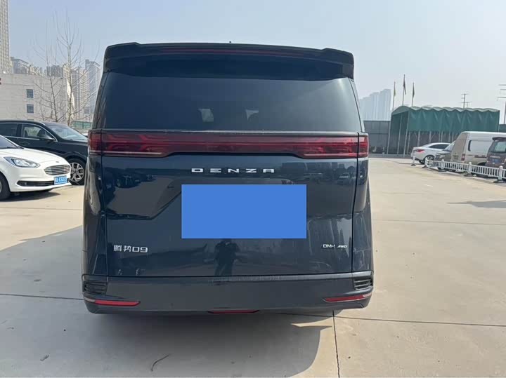 Фото 8 - Denza D9