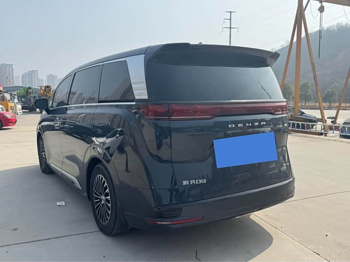 Фото 9 - Denza D9