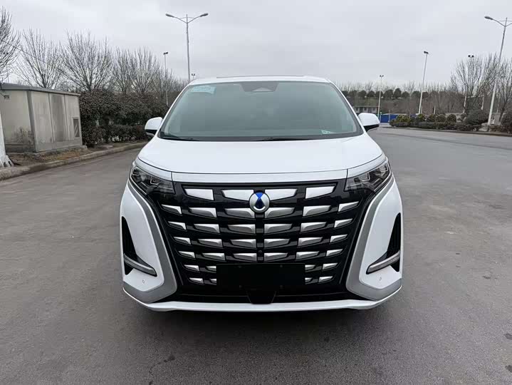 Фото 1 - Denza D9