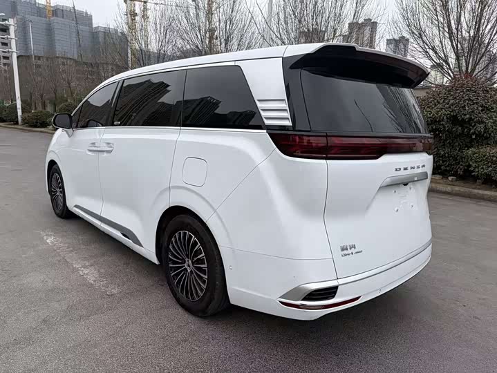 Фото 3 - Denza D9