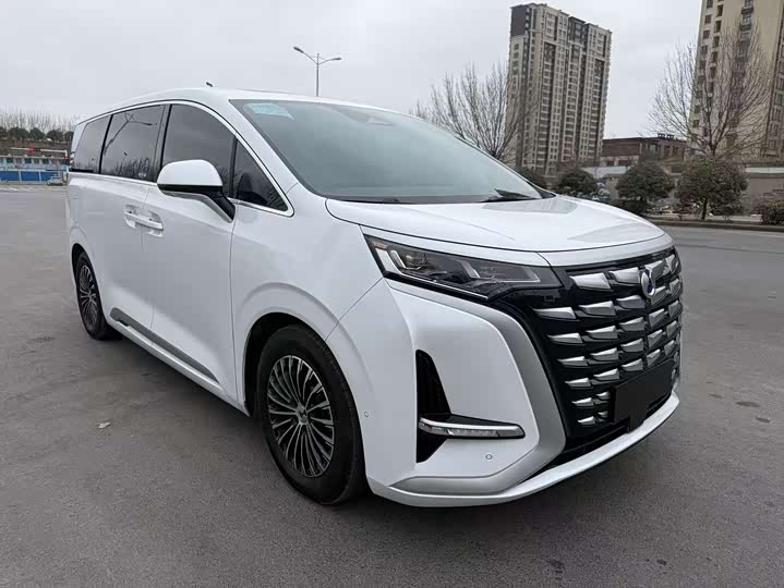 Фото 7 - Denza D9