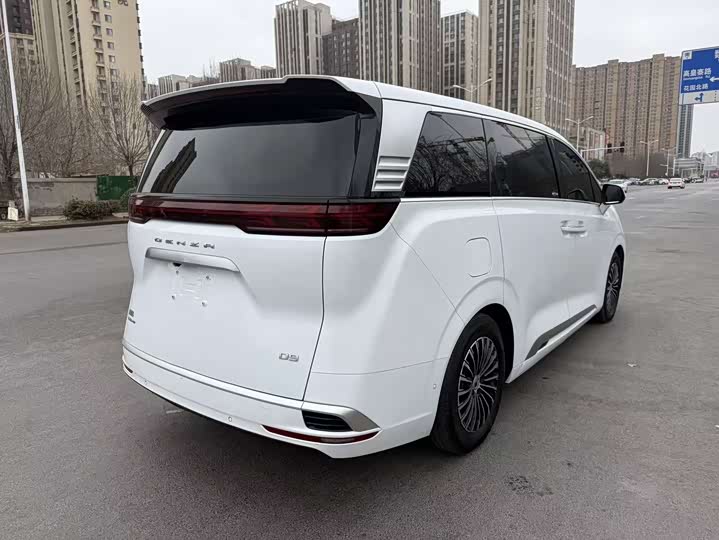 Фото 9 - Denza D9