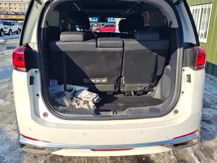 Фото 4 - GAC Trumpchi M8